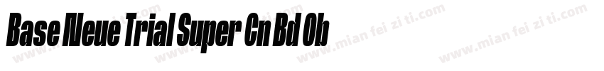 Base Neue Trial Super Cn Bd Obl字体转换